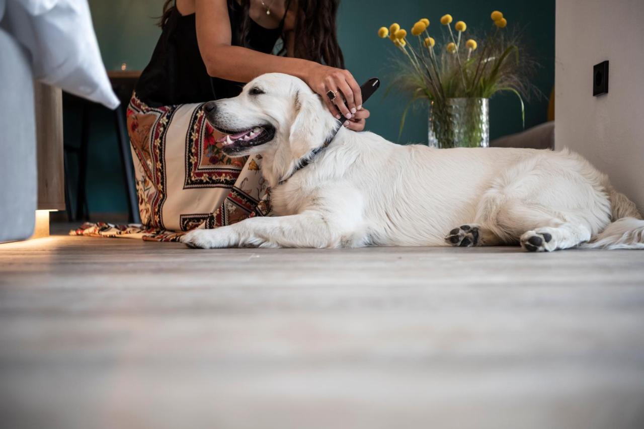 Sambucus Apartments -Premium Apartments For You And Your Dog Lana Exterior foto